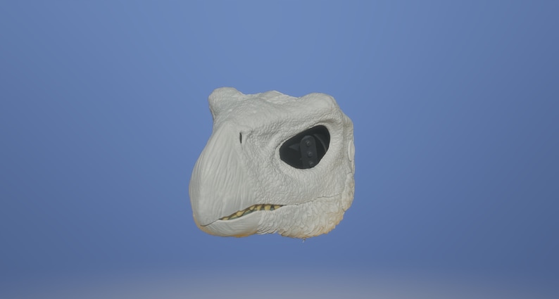 May include: A white, sculpted dinosaur head with a black eye. The dinosaur has a toothy grin and a textured surface.