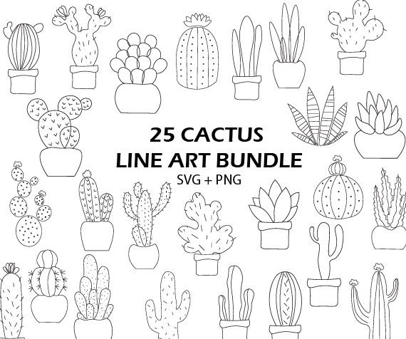 Cactus line drawing - Etsy France