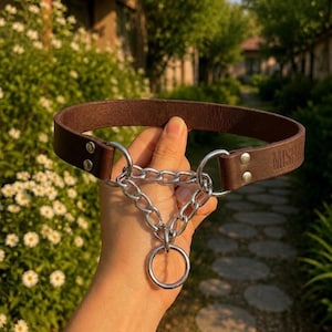 May include: A dark brown leather choker featuring a silver-toned metal chain assembly that forms a triangle shape, connected to a circular ring at the bottom. The leather band is secured with silver-toned rivets and has embossed text on the side.
