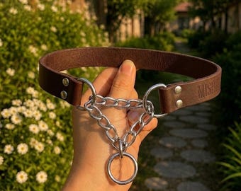 Tactical Dog Collar, Adjustable Martingal, Heavy Duty leather and stainless steel