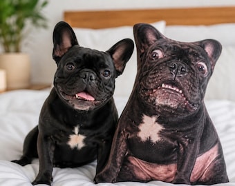 Cojín personalizado con foto de mascota, divertido cojín de perro y gato (a la vez feo y adorable), regalo personalizado para cojín con retrato