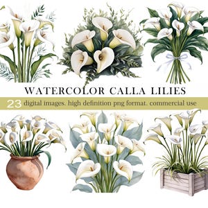 Clipart de lírios de calla aquarela. Gráficos de lírio de calla PNG. Aquarela Arum Lily Floral Png. Coroa de lírio de calla. Download digital. Uso comercial