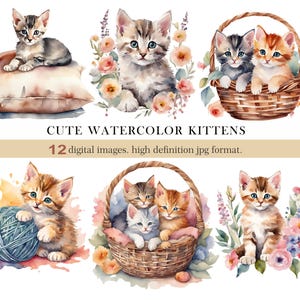 Cute Watercolor Kittens Clipart Bundle.Watercolor Cats & Kittens with Flowers Illustrations.PNG Files.Instant Download.Commercial Use