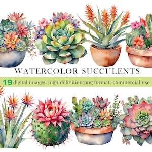 Aquarell Sukkulenten Clipart.Desert Aloe Succulents.Digital Kaktus Aquarell Clipart.19 Separate Png Files.Sofortiger Download.Kommerzielle Nutzung