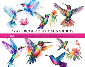Aquarel Hummingbird Clipart Bundle.Watercolor Hummingbird & Sugarbird Illustrations.PNG Clipart Files.Instant Download.Commercial Use