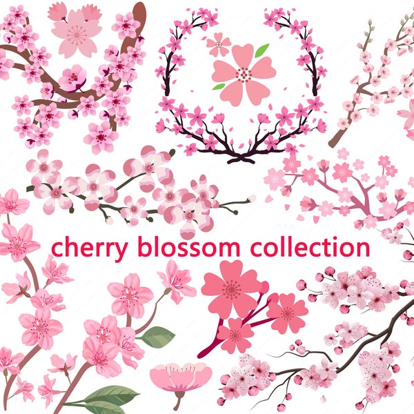 50 Design Cherry blossom SVG, Cherry blossom PNG, Flower SVG, Wedding invitation design,Wedding decoration,wreath svg,Digital downloads