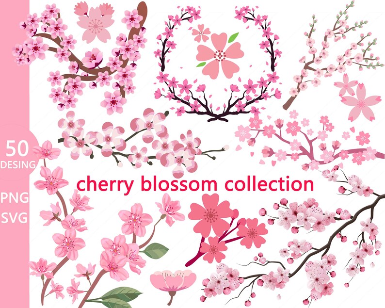 50 Design Cherry blossom SVG Cherry blossom PNG Flower SVG Wedding invitation designWedding decorationwreath svgDigital