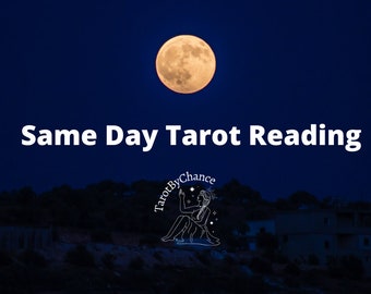 Same Day Tarot Reading