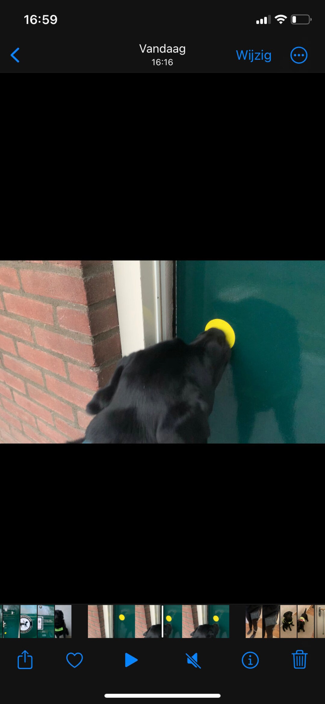 Touch Push Push Sticker Assistance Dog Training Sticker Round - Etsy UK