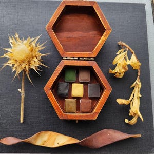 May include: A wooden hexagonal box with a hinged lid, open to reveal eight watercolour paint pans in shades of green, brown, yellow, and black. The box is surrounded by dried plant materials.