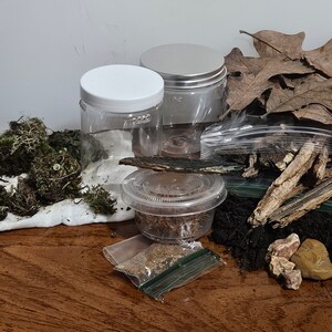 Live Terrarium 11pc DIY Kit - Everything Included! Garden In A Jar - Mini Terrarium - RARE Blue stain fungus included
