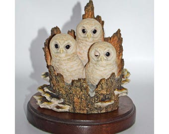 Border Fine Arts White Owl Chicks from the Pets With Personality Collection