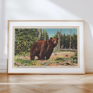 Impresión en lienzo retro de oso al aire libre, impresiones de pared con temática de naturaleza, decoración para el hogar y la oficina, arte mural natural, regalo de caza para papá, postal vintage