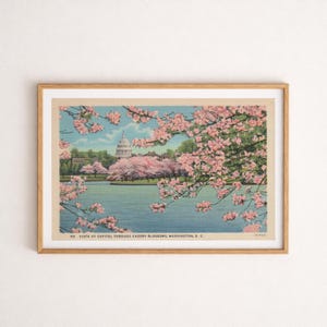 以下が含まれることがあります： ワシントンD.C.の米国議会議事堂が桜を通して見えるヴィンテージポストカードの画像がフレームに入っています。画像には、水色の空、水、ピンクの花が描かれています。