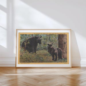 Impresión artística en lienzo con estampado de oso, impresión vintage de animales, decoración retro de vida silvestre, oso negro vintage, arte mural retro, póster de oso negro, decoración de cabañas