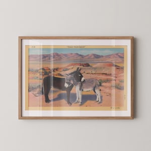 Carte postale papier beaux-arts âne du désert, décoration de chambre western sud-ouest, art mural cow-boy, art mural bohème, impression d'illustration