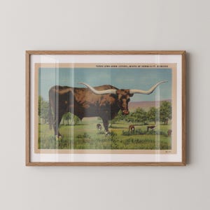 Stampa artistica su carta raffigurante una mucca Longhorn, decorazione retrò del Texas, Texas vintage, arte murale retrò, arredamento vintage, poster del Texas