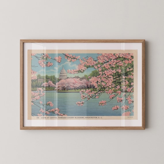 Washington Capitol Building in Cherry Blossoms Vintage Landscape Postcard : Fine Art Paper Print Framed or Unframed