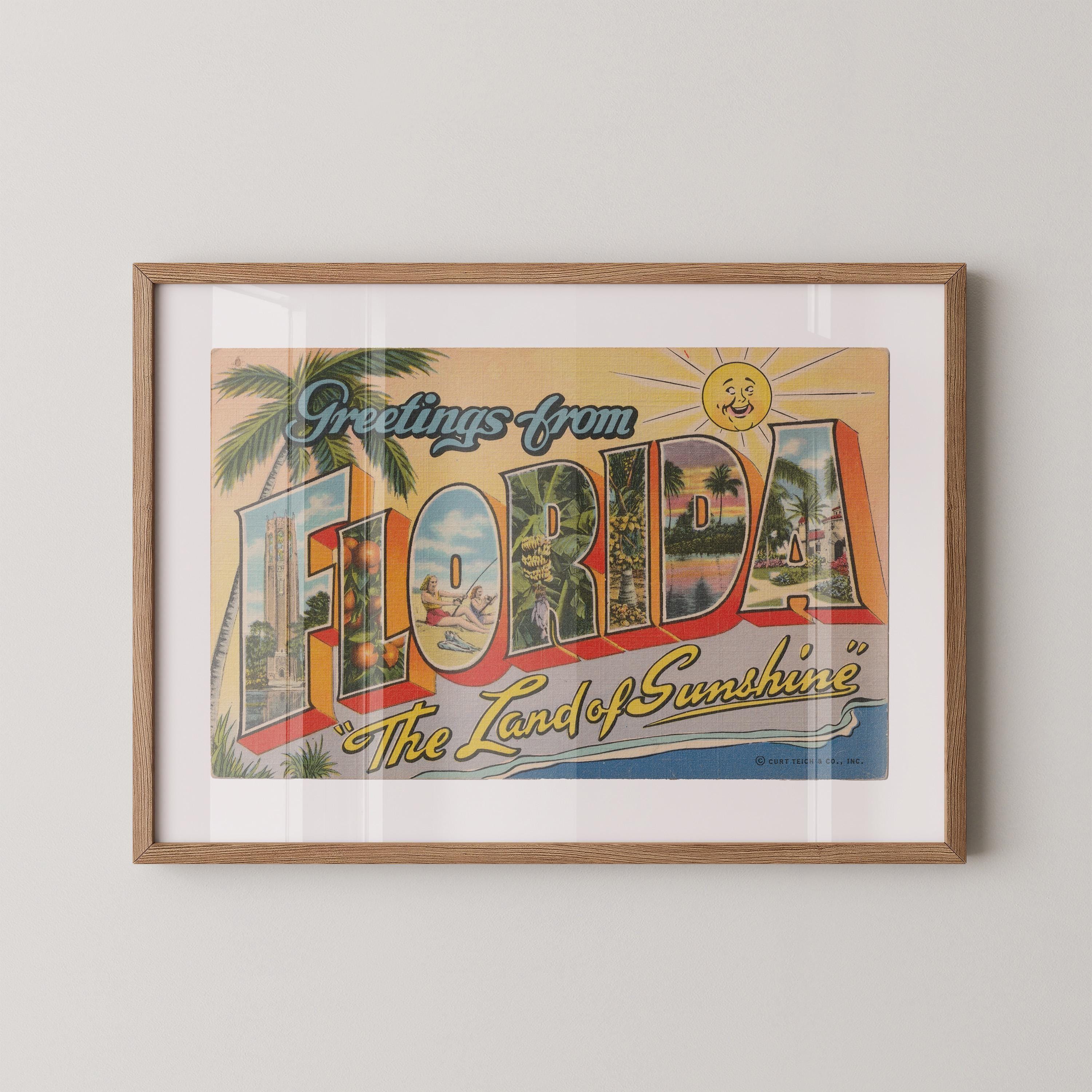 Greetings From Florida Poster Vintage Large Letter Postcard