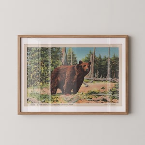 Impression d'art extérieur rétro ours, impressions murales d'extérieur, décoration de bureau à domicile, art mural nature, cadeau de chasse pour papa, carte postale vintage