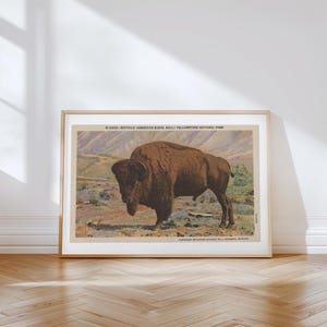 Stampa su tela "Yellowstone Buffalo Retro Outdoors", stampe murali all'aria aperta, decorazioni per l'ufficio, arte murale naturalistica, cartolina vintage