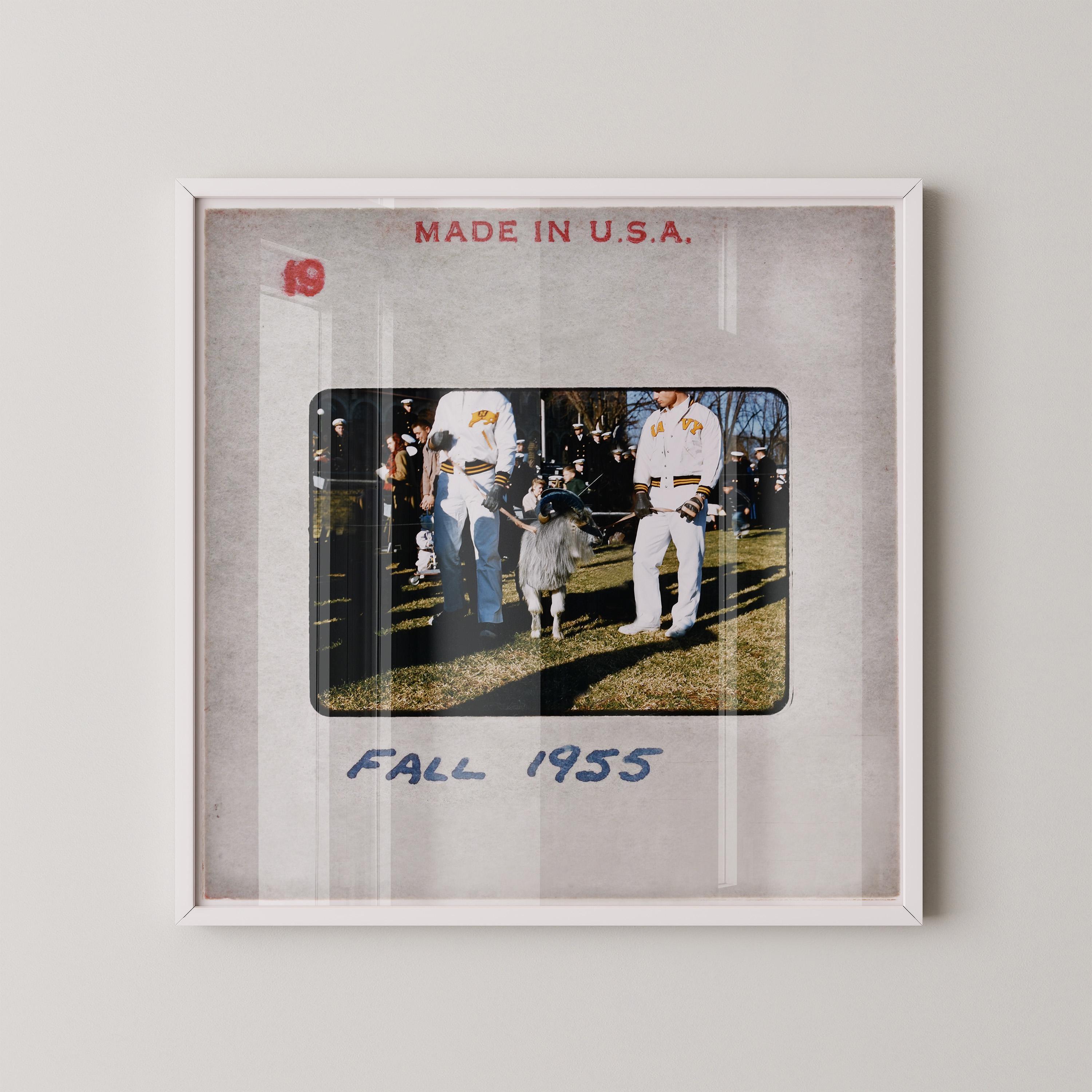 Vintage Us Navy Photo - Etsy