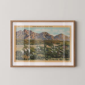 Stampa artistica su carta con cactus del deserto di Tucson, Arizona, decorazione per la stanza in stile western, arte murale da cowboy, arte murale boho, stampa illustrativa