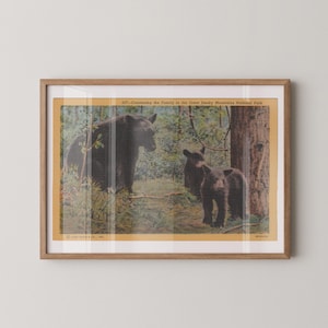 Impression sur papier fine art ours, imprimé animal vintage, décoration animalière rétro, ours noir vintage, affiche ours noir, décoration de cabine