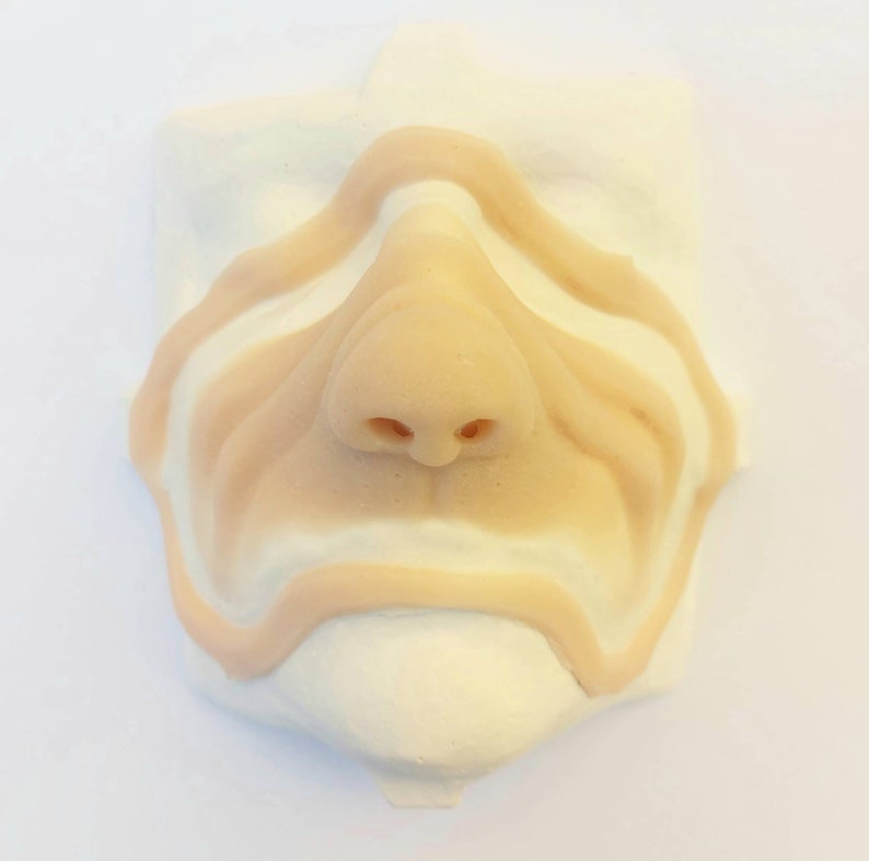 Grinch Style Encapsulated Silicone Nose Prosthetic Set/grinch Nose