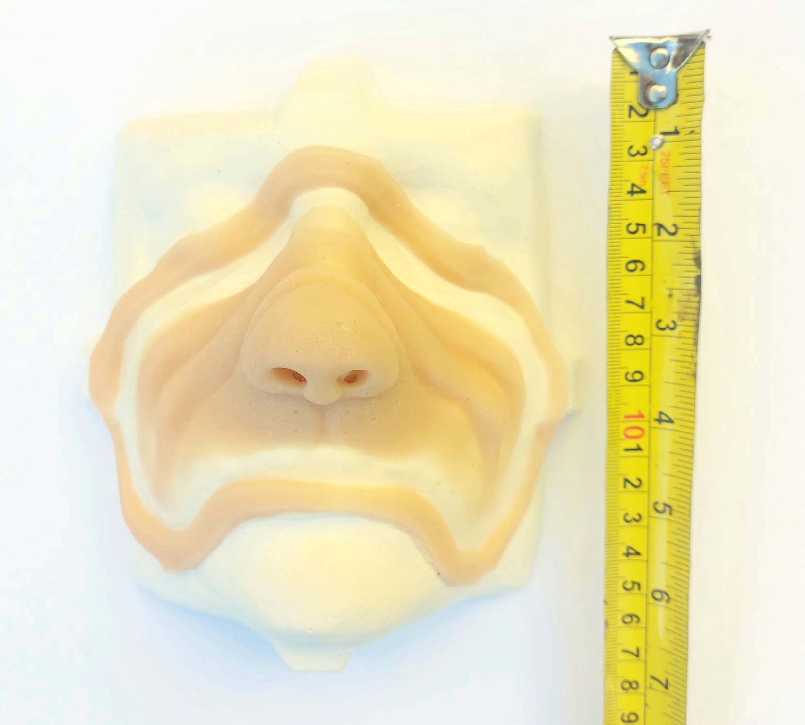 Grinch Style Encapsulated Silicone Nose Prosthetic Set/grinch Nose