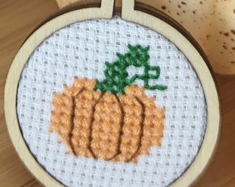 Pumpkin Mini Hoop - Beginners kits