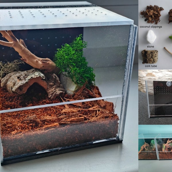 Stylish, handmade black plexiglass terrarium - perfect for small spiders and plants - starter kit! Unique terrarium -guillotine doors