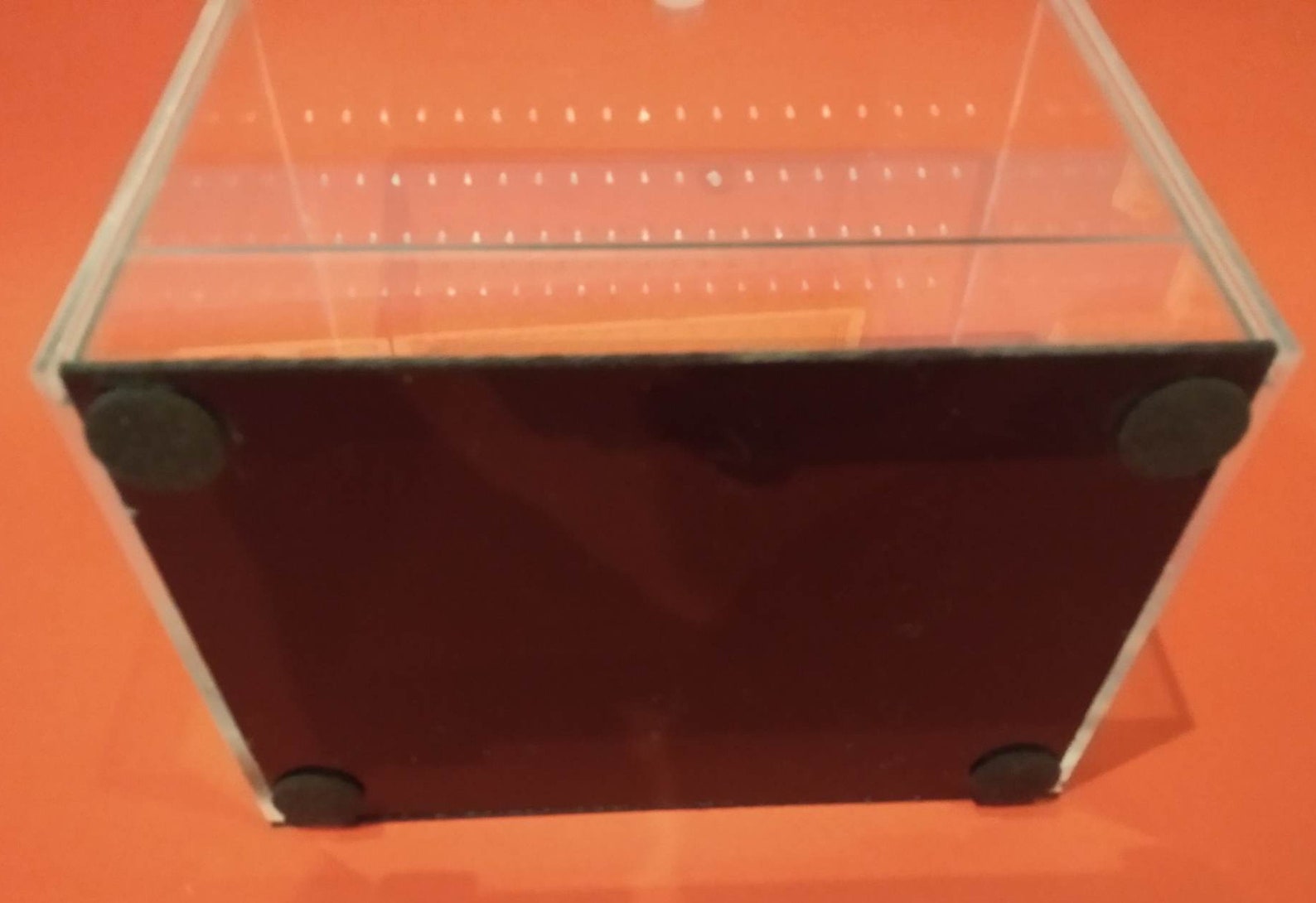 Unique Terrarium With Black Plexiglass. Terrarium for Etsy