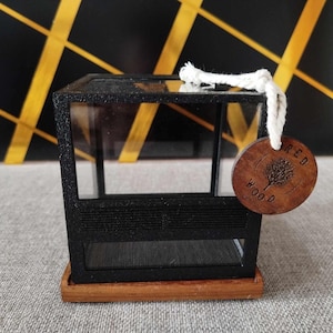 Glass terrarium 10x10x10cm / 3.937x3.937x3.937in Guillotine opening, ventilation /equipment/ wooden base
