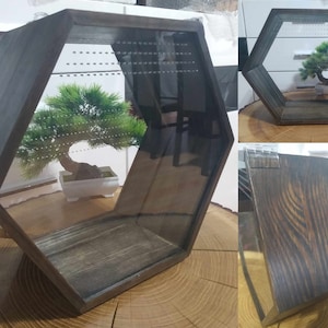 Tarantula enclosure. A unique terrarium for tarantulas, spiders, etc. Terrarium with a wooden casing.Terrarium for animals. Spider enclosure