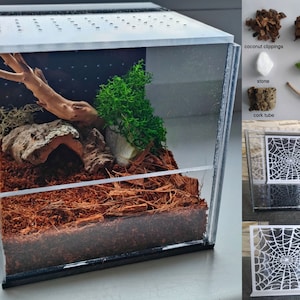 A unique terrarium. Starter set. Terrarium for tarantulas /spiders/mantises/plants/tarantula enclosure / spider enclosure / spider terrarium