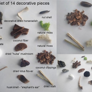 A set of decorations for the terrarium with a spider, praying mantis, stick insect, jumping spider, flowers, plants - 14 pcs.