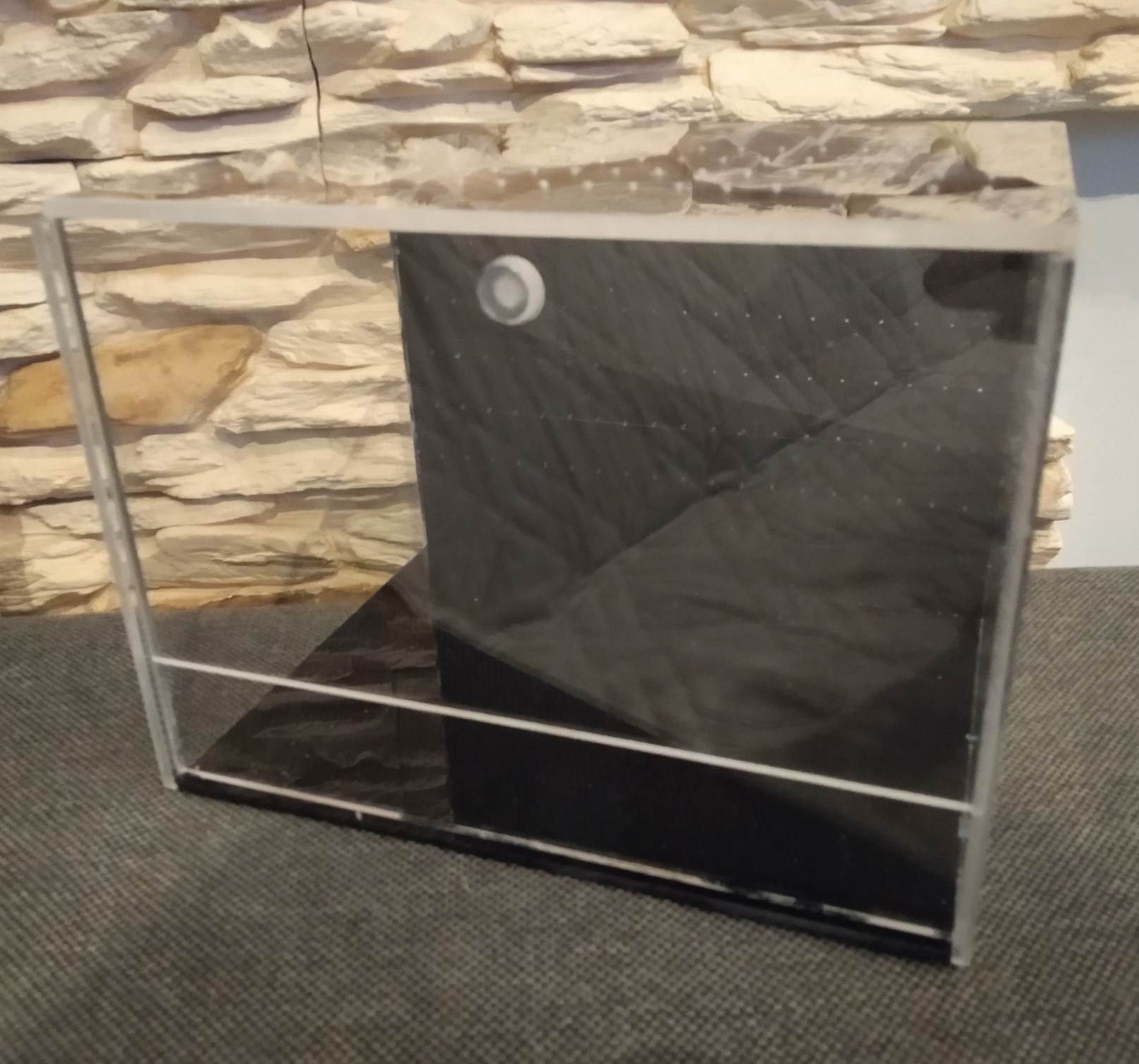 Unique Terrarium With Black Plexiglass. Terrarium for Etsy