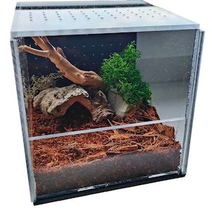 A unique terrarium. Starter set. Terrarium for tarantulas /spiders/mantises/plants/tarantula enclosure / spider enclosure / spider terrarium