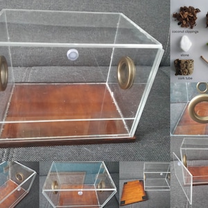 A unique terrarium with a wooden stand. Terrarium for tarantula, spiders, praying mantis, invertebrates, plants, flowers- guillotine doors.