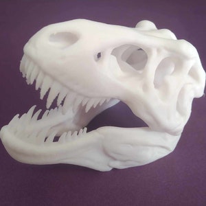 May include: White plastic dinosaur skull model with an open jaw and visible teeth. The skull is detailed with bone structure and is a realistic representation of a dinosaur.