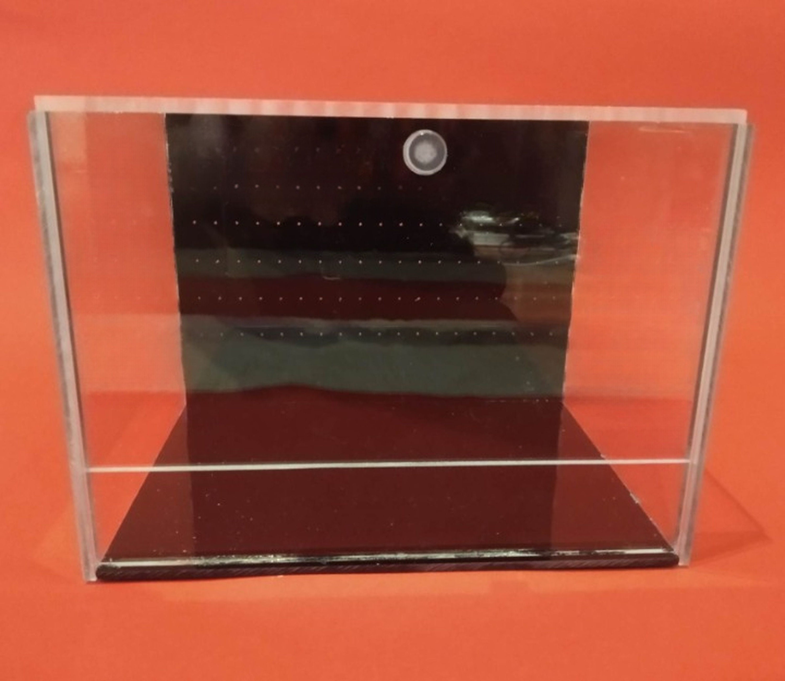 Unique Terrarium With Black Plexiglass. Terrarium for Etsy