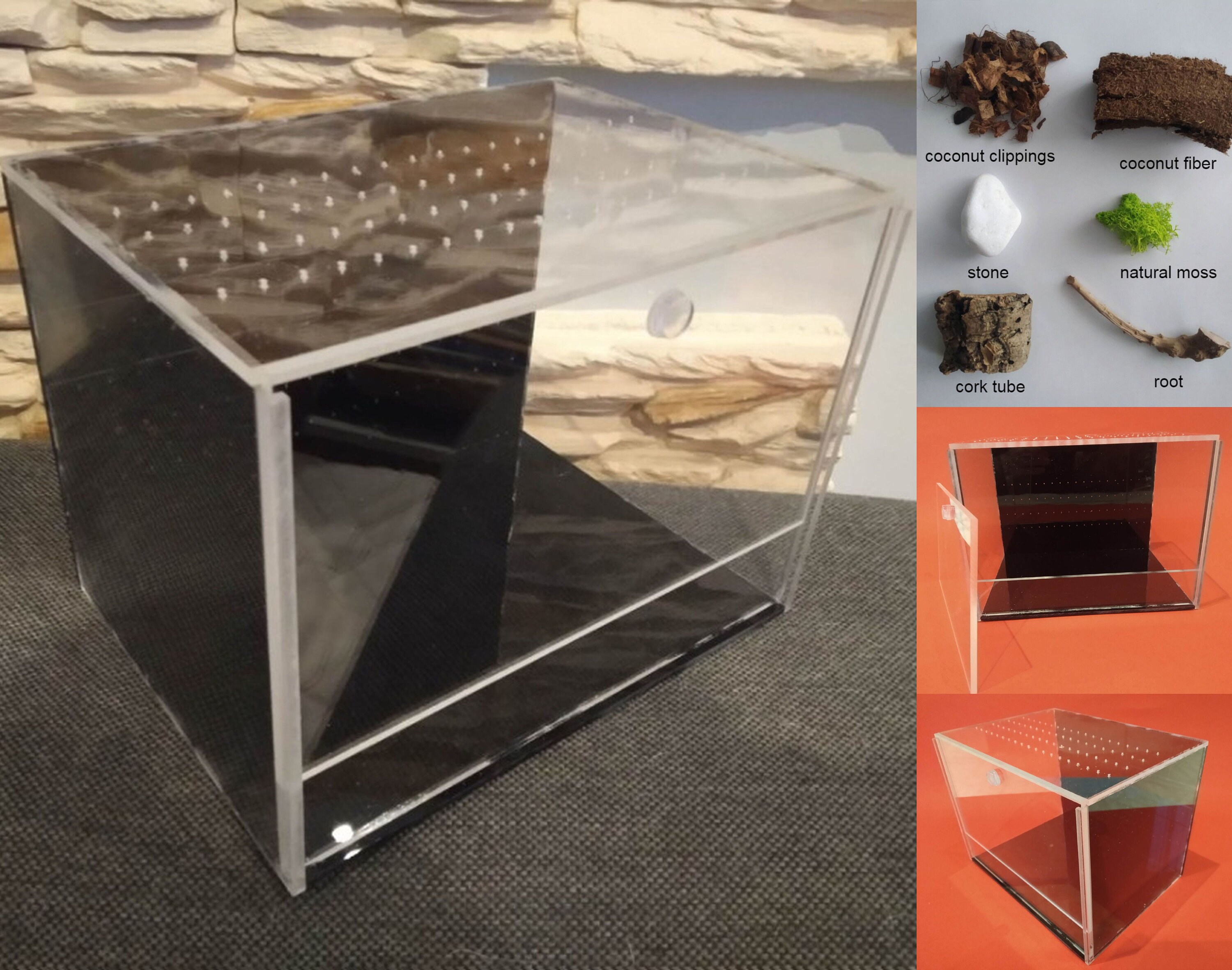 Unique Terrarium With Black Plexiglass. Terrarium for Etsy