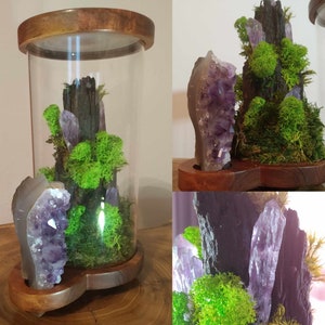 Decoration from the series - &quot;BioTuba&quot; REAL Amethyst. Preserved moss. Ecological decoration. Terrarium with plants and amethyst.