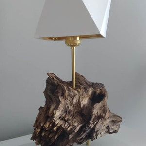 Natural Root Table Lamp, Hand-Cleaned & Oiled, E27 Gold Frame, Decorative Lighting, adapter for US, UK, Canada and Australia users