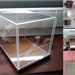Ein einzigartiges Gehege/Terrarium mit einem Holzständer. Terrarium für Vogelspinne, Spinnen, Gottesanbeterin, Wirbellose, Pflanzen, Blumen- Guillotine-Türen
