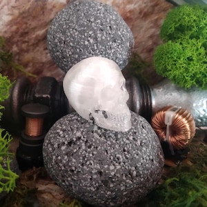 May include: A white, translucent skull figurine resting on a grey, speckled rock. The skull is detailed and has a smooth, glossy finish.