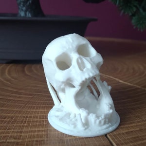 May include: A white 3D printed skull with an open mouth, the jaw is detached and hanging down. The skull is sitting on a white base.