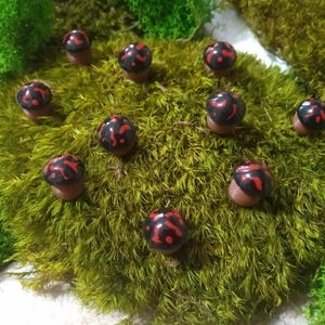 May include: A cluster of small mushroom ornaments with black and red patterned caps, displayed on a bed of green moss. The mushroom stems are brown, and the arrangement is circular.