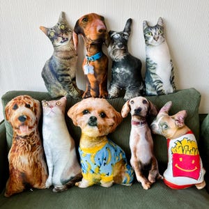 Custom Pet Pillow, 3D Pet Pillow Personalize, Pet Shaped Pillow, Pet Pillow from Photo, Gift for Cat Lover, Dog Lover, Back to School Gift
